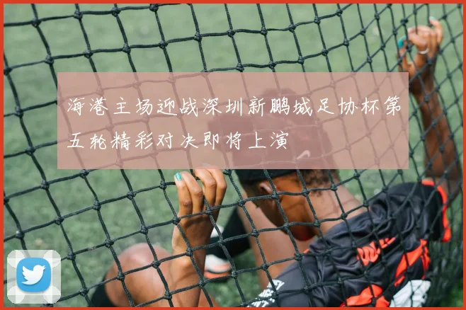海港主场迎战深圳新鹏城足协杯第五轮精彩对决即将上演